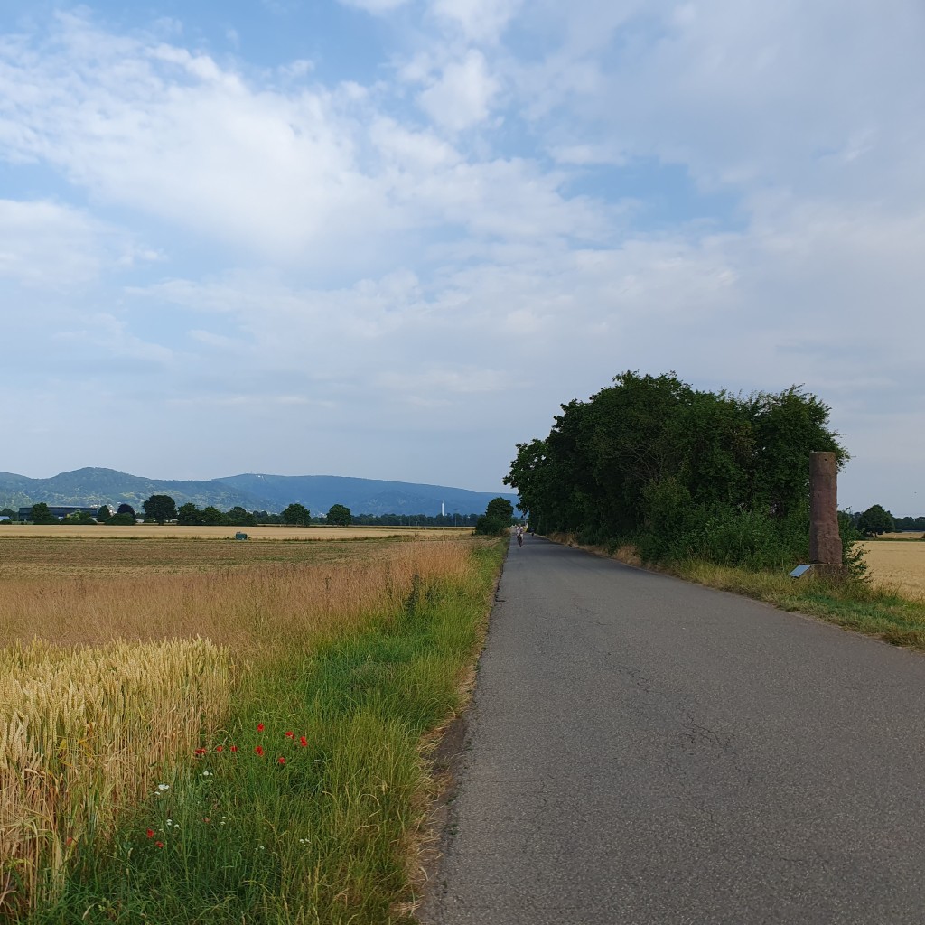 The picture shows a straigh road with fields on the left and mountains in the distance. 